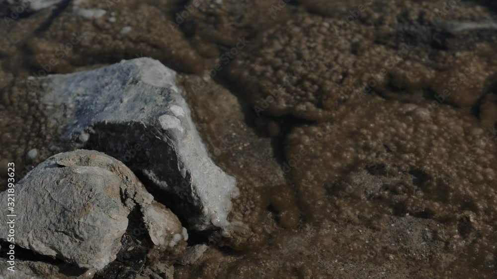 through the clear water, a brown rocky bottom, covered with many bubbles, is visible through the clear water, a brown rocky bottom, covered with many bubbles, is visible