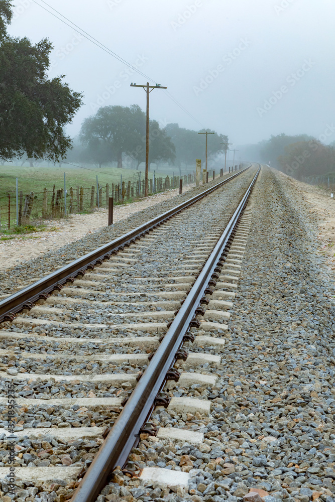 Obraz premium Lonely railroad track