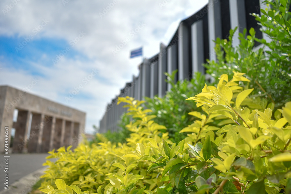 Bright vegetation with bokeh effect on sunny day in a park. Bright vegetation with bokeh effect on sunny day in a park.