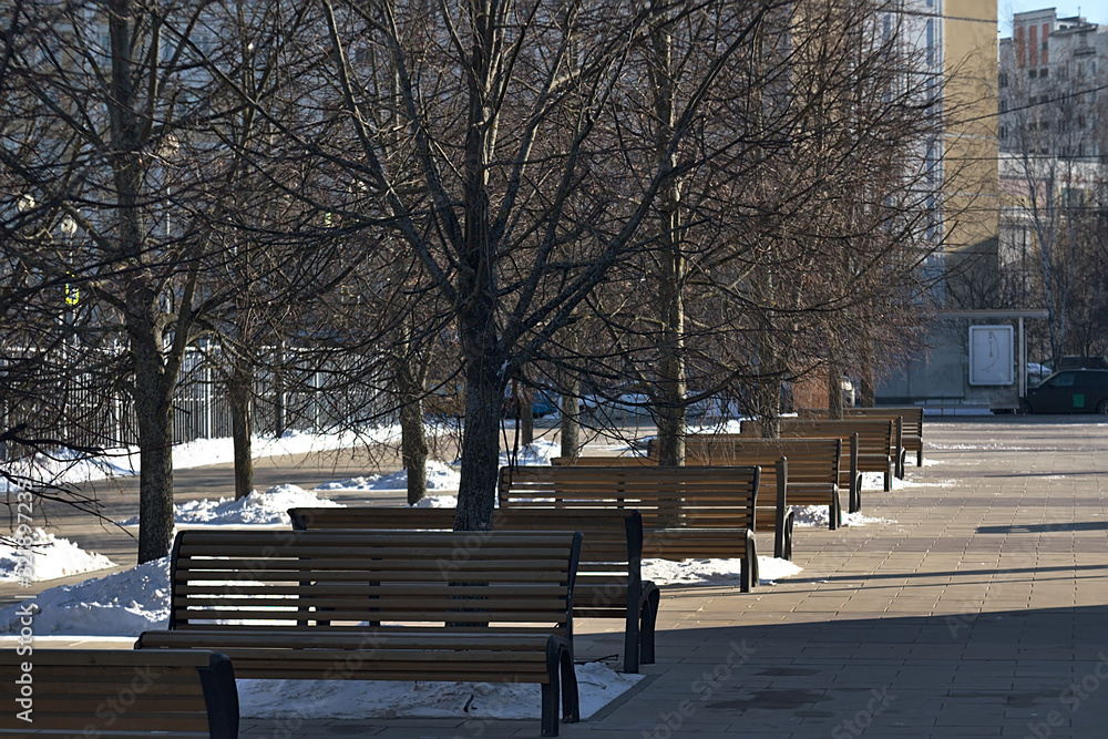 benches under trees in the recreation area