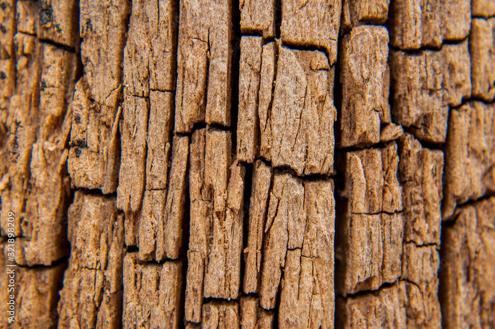 bark wall bark wall