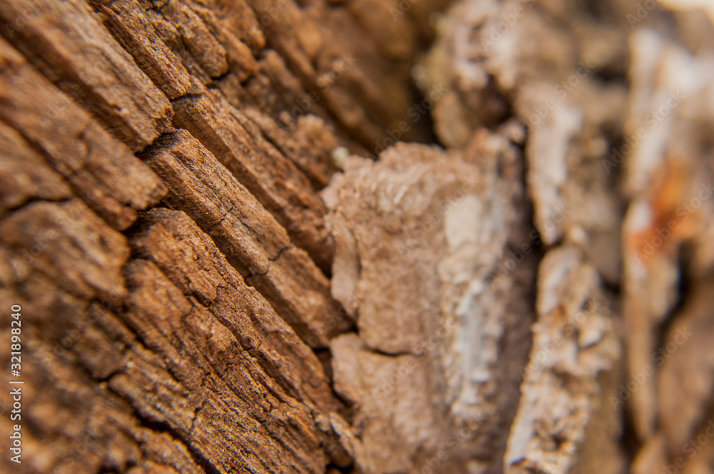 wood pattern wood pattern