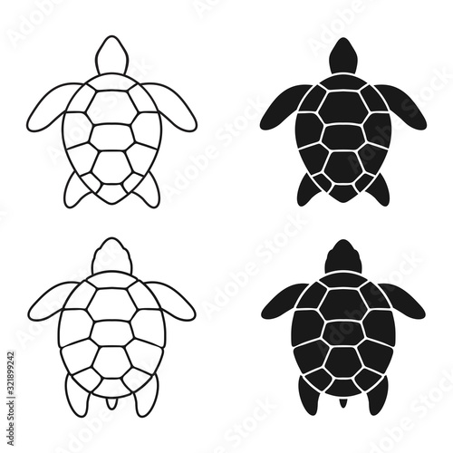 Sea turtle icon. Vector illustration isolated o white background