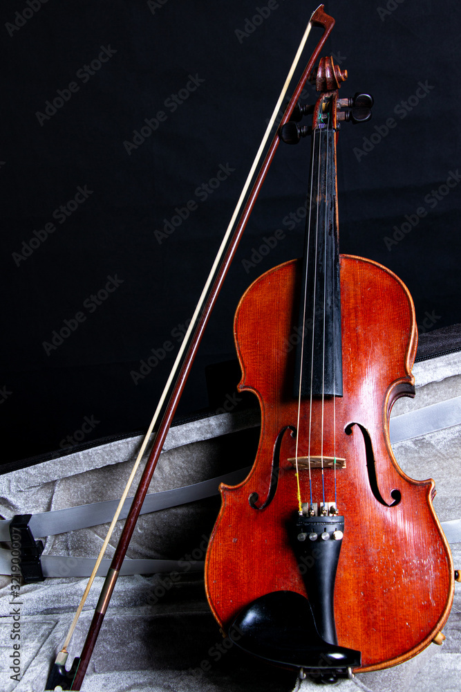 Fototapeta premium violín