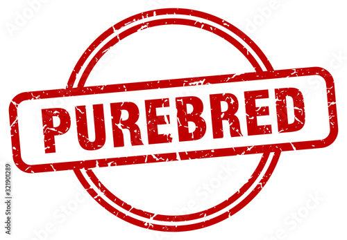 purebred stamp. purebred round vintage grunge sign. purebred