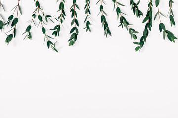 Eucalyptus branches and leaves on white background. Minimal composition of eucalyptus. Flat lay, top view, copy space
