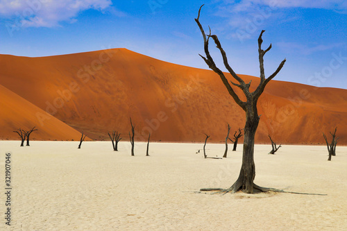 Fotografie Dead Vlei (Namib-Naukluft Park) - Namibia Africa