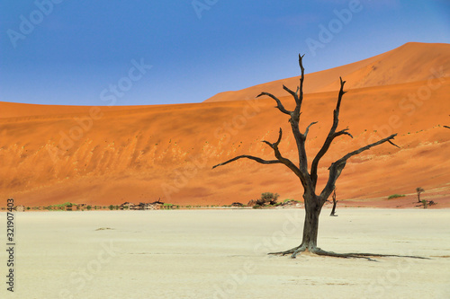 Dead Vlei (Namib-Naukluft Park) - Namibia Africa