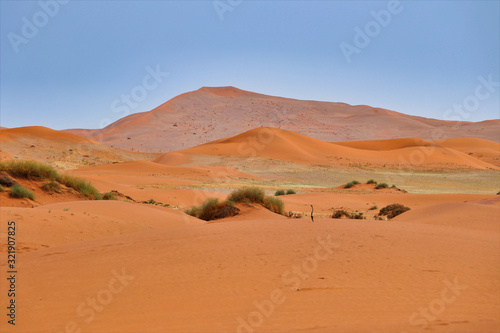 Sossusvlei  Namib-Naukluft Park  - Namibia Africa