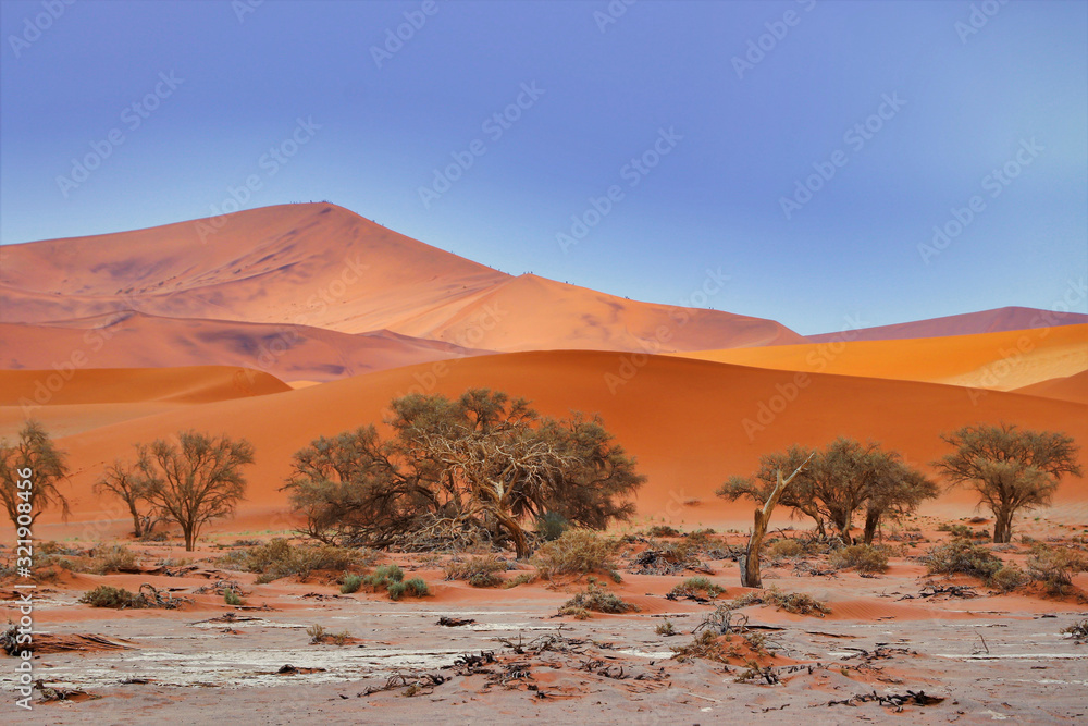 Sossusvlei (Namib-Naukluft Park) - Namibia Africa