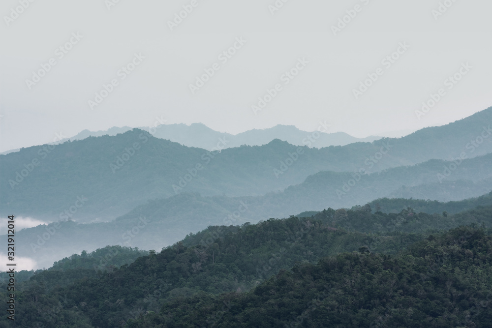 Morning View Misty Borneo Rainforest in Sabah
