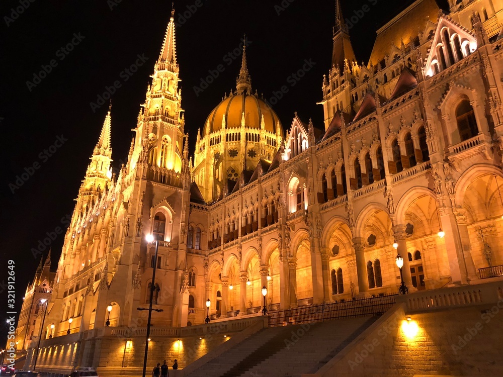 Fototapeta premium cathedral at night