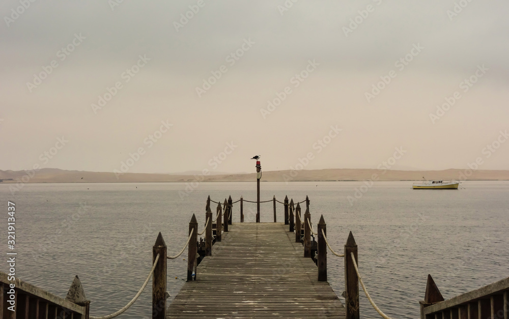 Fototapeta premium wooden deck and bird in a misty day at Paracas beach. Ica/Peru.