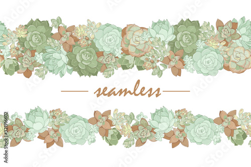succulents of different types on a white background, seamless ornament, vector illustration