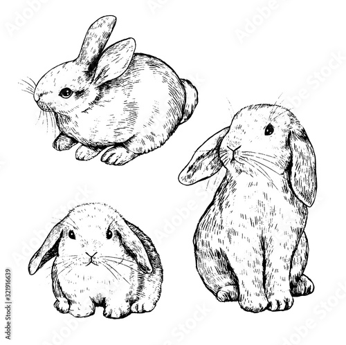 Collection of vector illustrations. Set of cute little rabbits. Hand drawn ink sketches isolated on white. Elements for Easter, spring design, cards, posters, prints, wrapping, etc. Vintage etching.
