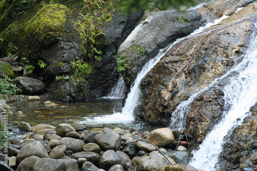 Englishman River Falls (BC 00656)