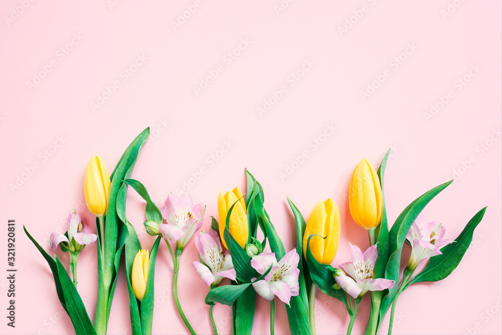 Pink background with spring flowers, festive composition for spring holidays
