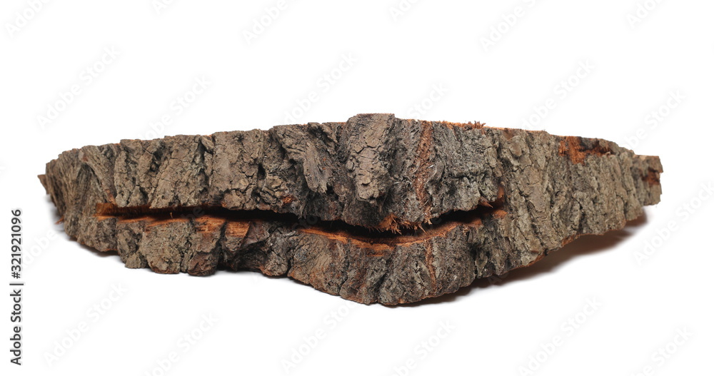 Oak stump, log fire wood isolated on white background 