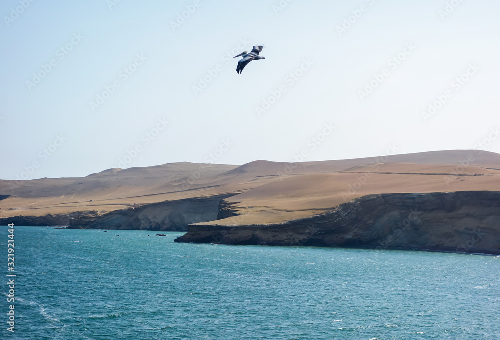 Pelican flying over the sea in Paracas National Reserve. Pacific ocean in the coast of Ica/Peru. Pelican flying over the sea in Paracas National Reserve. Pacific ocean in the coast of Ica/Peru.