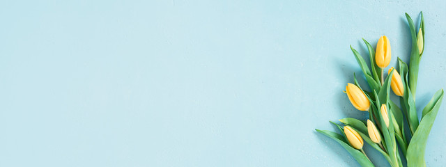 Blue banner with spring tulips, festive composition for spring holidays