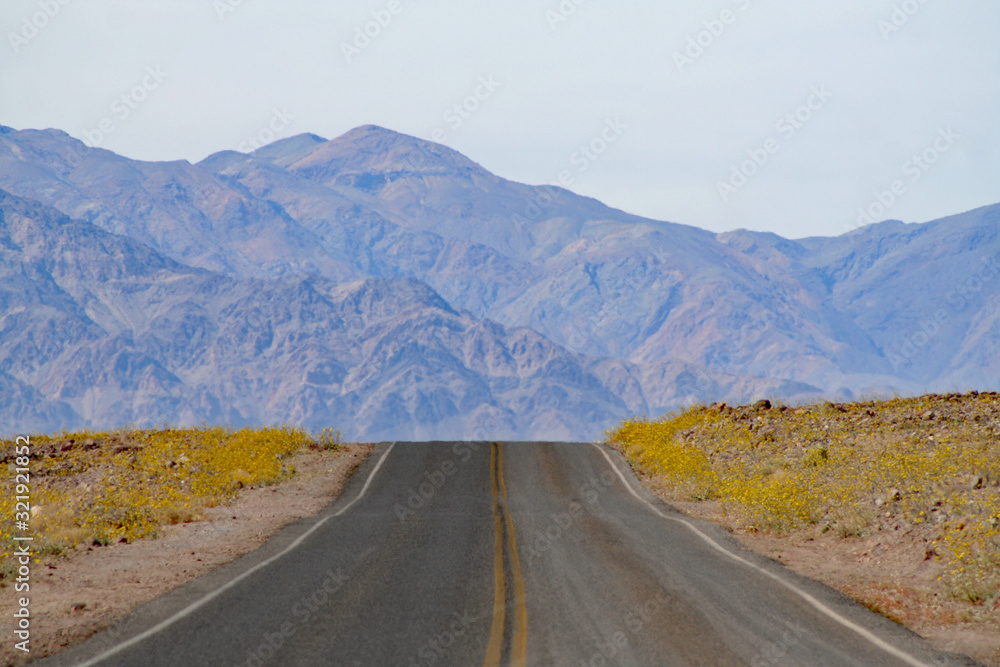 Road in Death Valley (CA 04123)