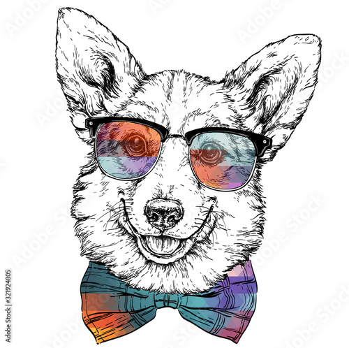 Vintage retro hipster style sketch of funny Pembroke Welsh corgi dog in glasses. vector illustration.