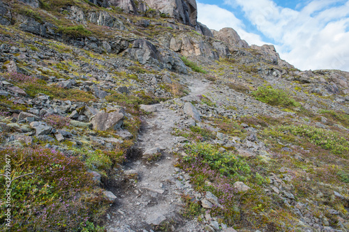 Path in a mountain side in Iceland