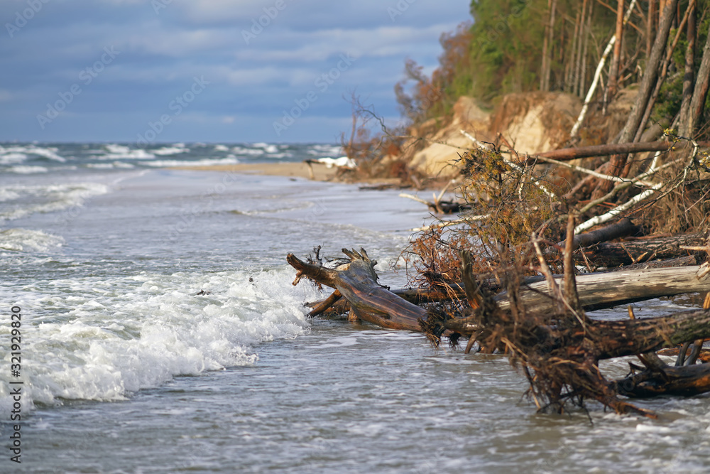 The view of a flooded coastline with fallen trees during the storm in Riga, Latvia. Lielupe river estuary to the Baltic sea