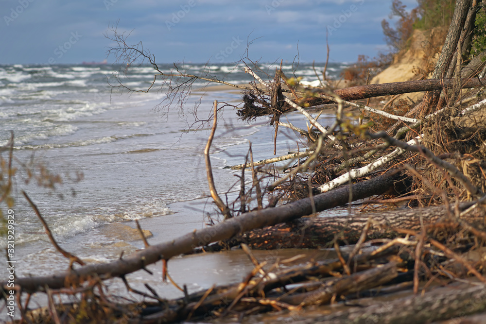 The view of a flooded coastline with fallen trees during the storm in Riga, Latvia. Lielupe river estuary to the Baltic sea The view of a flooded coastline with fallen trees during the storm in Riga, Latvia. Lielupe river estuary to the Baltic sea