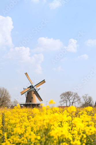 Wind mill in Dutch village