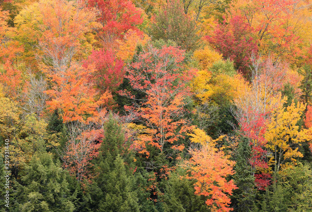 Overlooking of Beautiful Autumn Foliage at Stowe, Vermont, USA Overlooking of Beautiful Autumn Foliage at Stowe, Vermont, USA