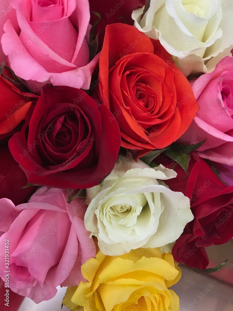 Bouquet of Multi-Color Roses Bouquet of Multi-Color Roses