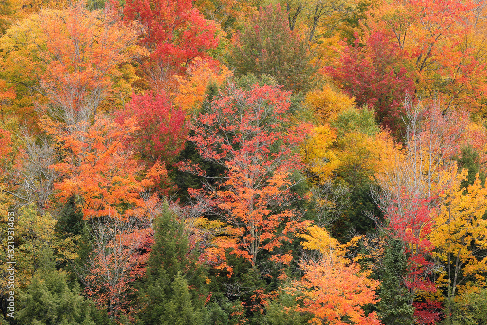 Overlooking of Beautiful Autumn Foliage at Stowe, Vermont, USA Overlooking of Beautiful Autumn Foliage at Stowe, Vermont, USA