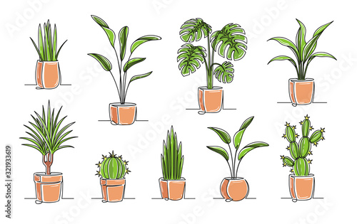 set of potted plants in pots isolated on white