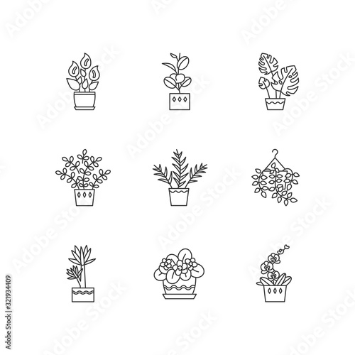 Domesticated plants pixel perfect linear icons set. Houseplants. Violet, ficus, monstera. Lily, pothos. Customizable thin line contour symbols. Isolated vector outline illustrations. Editable stroke