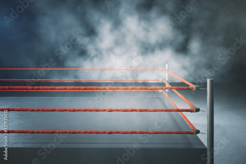 Empty professional boxing ring