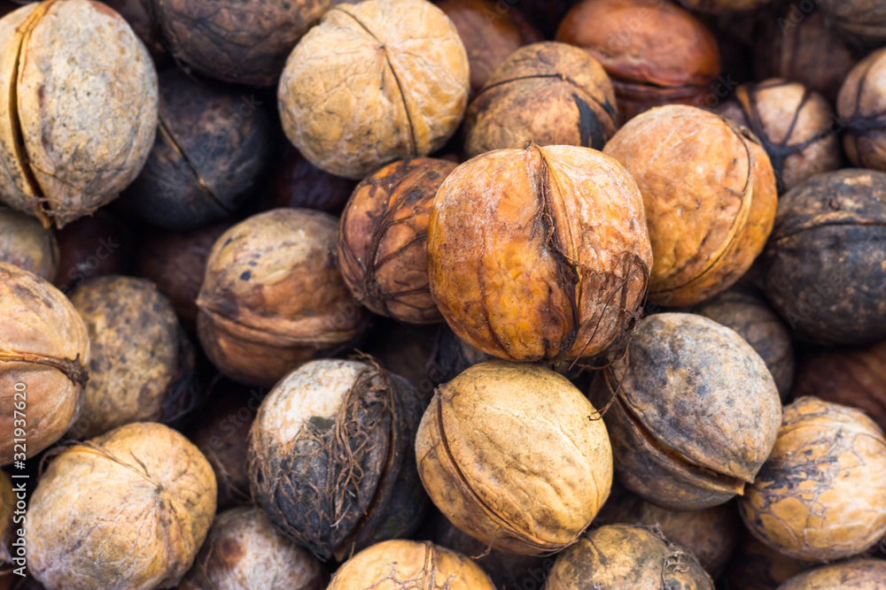 background of wet walnuts in a shell after the rain close-up background of wet walnuts in a shell after the rain close-up