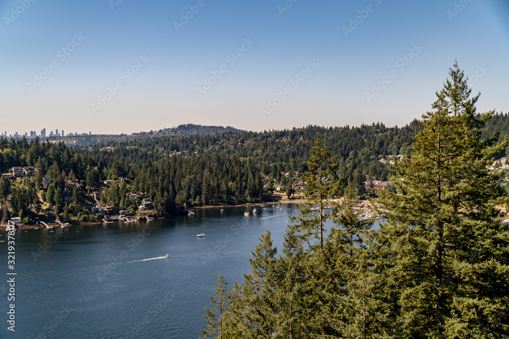 Fototapeta premium lake in the forest