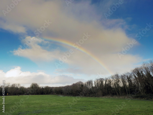 Colorful rainbow in a cloudy sky over trees in a forest and a green field. Nature background.