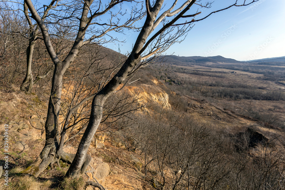 Hiking trail in the Buda Hills near Budapest Hiking trail in the Buda Hills near Budapest