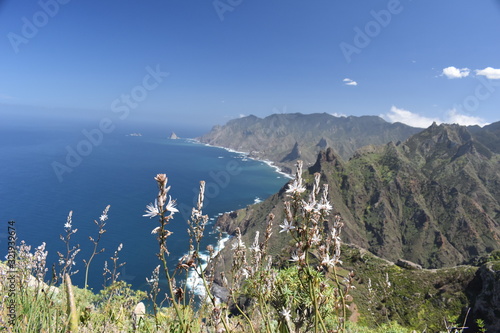 Tenerife north coast