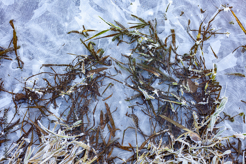 Beautiful texture of frozen water. Ice surface on the river. Natural background of a cold shade. Early winter. Harmony of shades of crystallized water. Low temperature. © Олег Копьёв