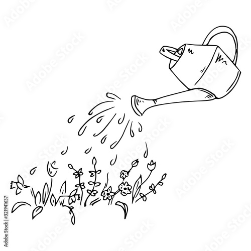 Watering the plants in the garden. Vector illustration of watering spring plants. Hand drawn.