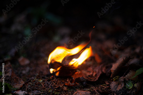 Fire in the dark. Birch bark burns. Breeding kotra at night. Background flame of a burning tree.