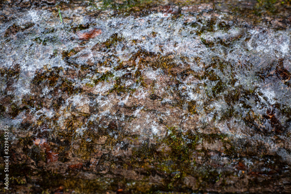 Icy ground. Cold background. Natural object. A close-up shot of the surface of the ice crust covering the ground with plants. The first frost. Icy ground. Cold background. Natural object. A close-up shot of the surface of the ice crust covering the ground with plants. The first frost.