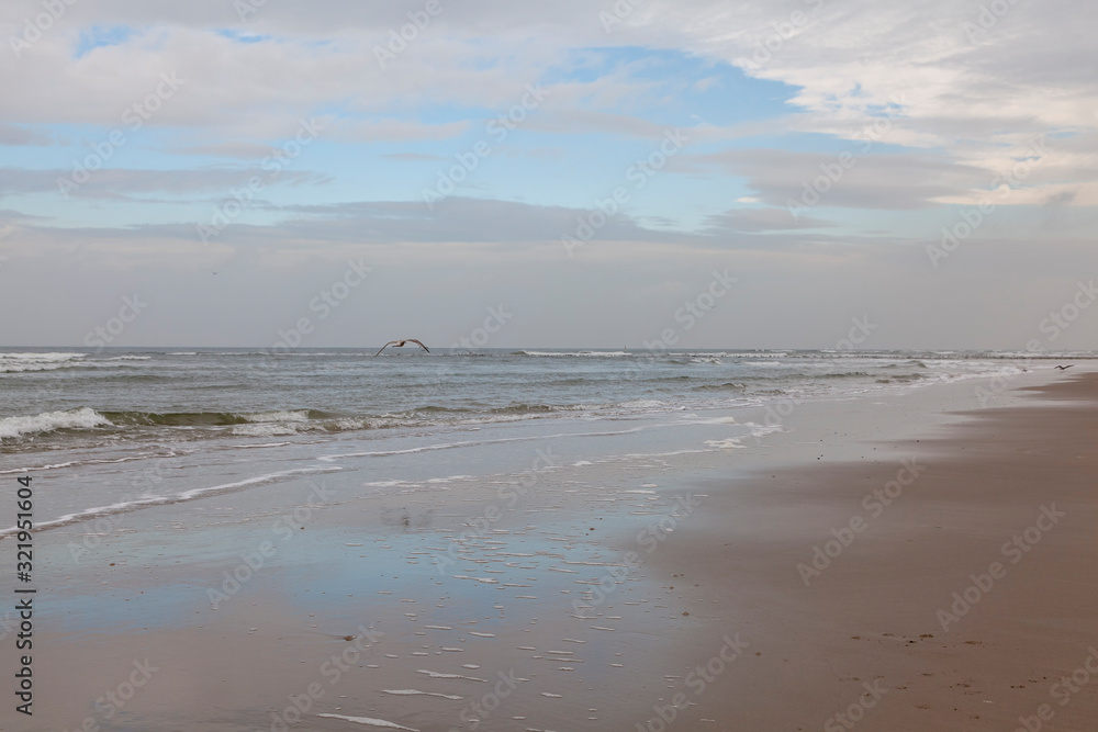 Nordseeinsel Texel