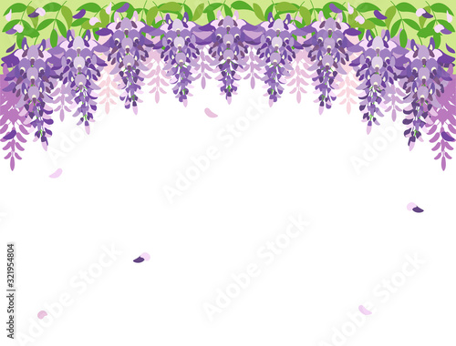 藤の花4　藤