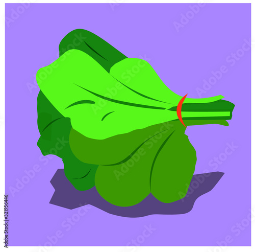 Fruits and vegetables vector on the purple background