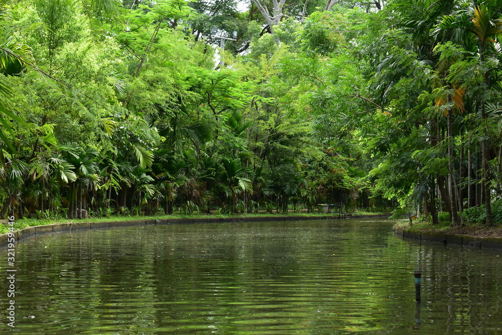 landscape of public park in the morning with view of water small pond landscape of public park in the morning with view of water small pond
