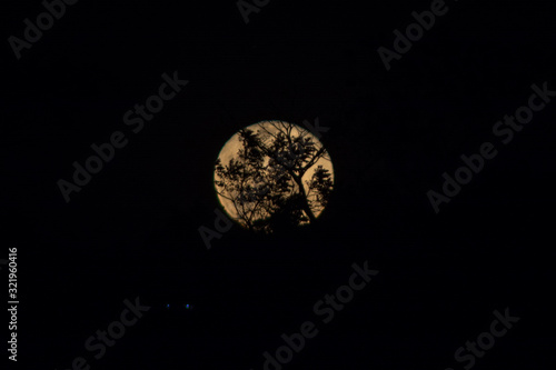 full moon in the sky 